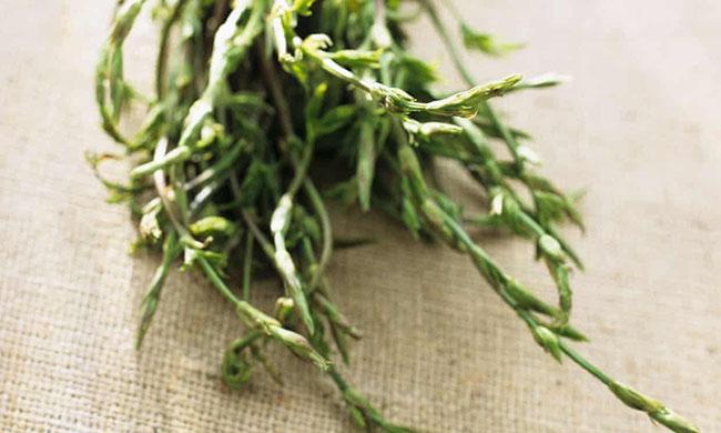 View - Chồi cây này có 26 triệu đồng/kg, là nguyên liệu làm đồ uống ưu thích của hàng tỷ người trên Thế giới