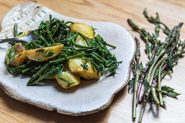 View - Chồi cây này có 26 triệu đồng/kg, là nguyên liệu làm đồ uống ưu thích của hàng tỷ người trên Thế giới