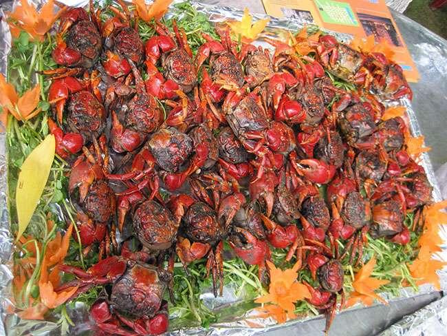 View - Con này trước cho không ai ăn, giờ là đặc sản được săn lùng, thịt ngon hơn cả cua ghẹ, giá 80.000 đồng/kg