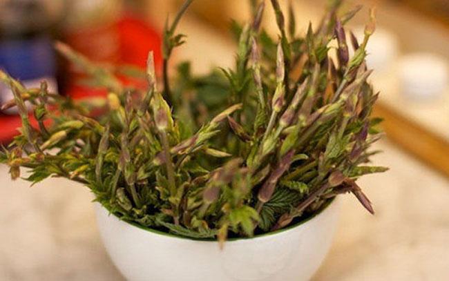 View - Chồi cây này có 26 triệu đồng/kg, là nguyên liệu làm đồ uống ưu thích của hàng tỷ người trên Thế giới