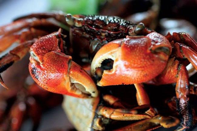 View - Con này trước cho không ai ăn, giờ là đặc sản được săn lùng, thịt ngon hơn cả cua ghẹ, giá 80.000 đồng/kg