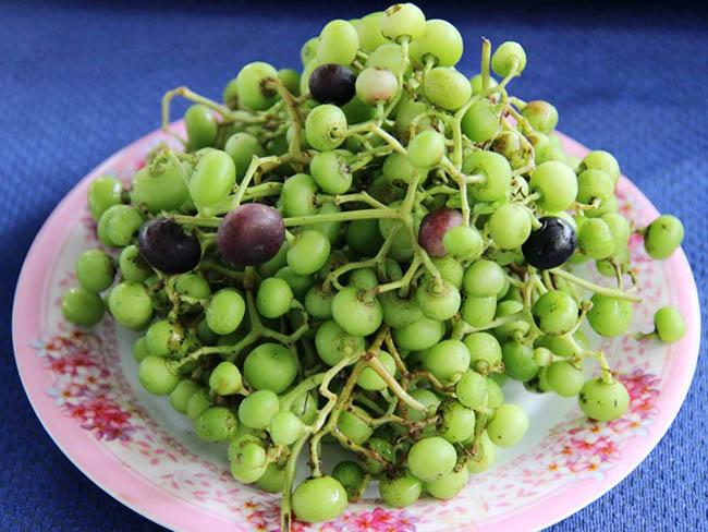 View - Loại quả dại trước rụng đầy không ai ăn, giờ là "mỏ vàng” được săn lùng, giá bán 60.000 đ/kg