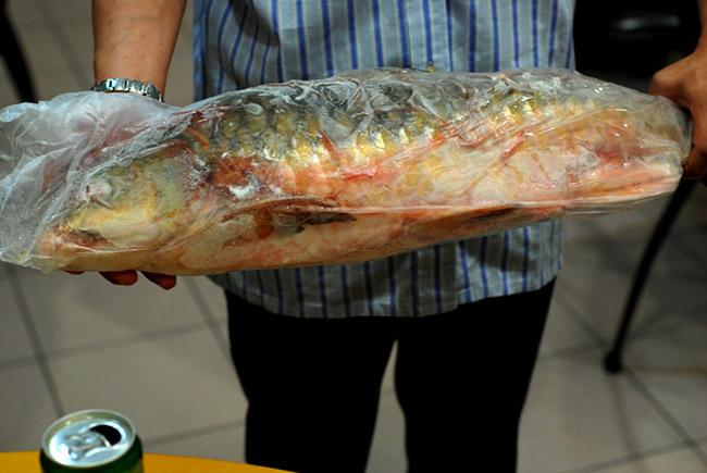 View - Cá được mệnh danh là "vong bất liễu ngư” có giá 10 triệu đồng/kg, sống môi trường rất đặc biệt