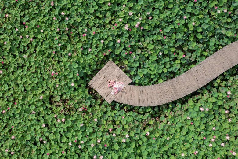 View - Nghỉ lễ 2/9, khám phá Hang Múa - Ninh Bình vào mùa đẹp nhất, xứng danh đệ nhất sống ảo