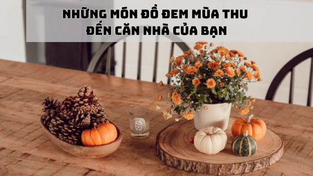 8 món đồ có thể mang mùa thu đến căn nhà của bạn, vừa tinh tế lại không kém phần sang trọng, có món chỉ 13 ngàn - 1