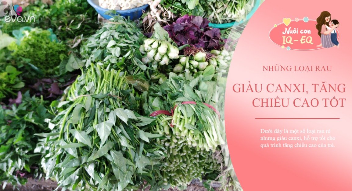 View - 6 loại rau ngoài chợ chỉ 5000 đồng một bó nhưng tràn trề canxi cho con