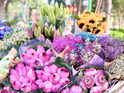 Lifestyle - Top 10 loài hoa có thể khiến không gian nhà bạn trở nên ấm áp và sang trọng vào mùa thu