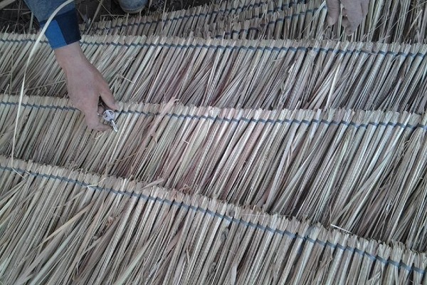 “Vắt tranh” dùng để chỉ từng bó cỏ tranh được xếp đều tăm tắp khi lợp mái nhà.