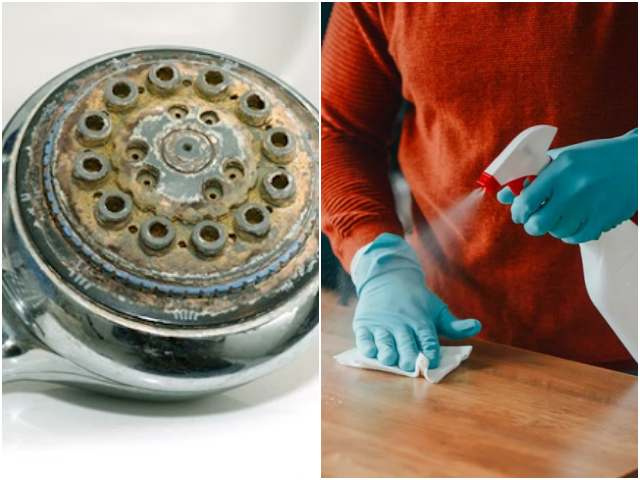 Những thứ bẩn hơn bồn cầu gấp 44 lần, có thứ chạm tay vào hàng ngày nhưng nhiều người không biết