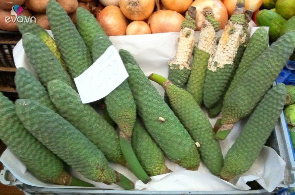 View - Loại quả trông giống lõi ngô, vị giống dứa và chuối, 100.000 đồng/quả, nhà giàu hay trồng cây làm cảnh