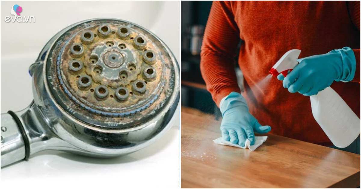 View - Những thứ bẩn hơn bồn cầu gấp 44 lần, có thứ chạm tay vào hàng ngày nhưng nhiều người không biết