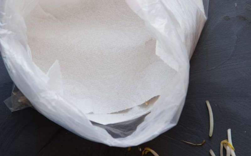 - Bảo quản chúng trong hộp hoặc túi nhựa (túi giữ tươi) có lót giấy báo hoặc khăn giấy thấm.
