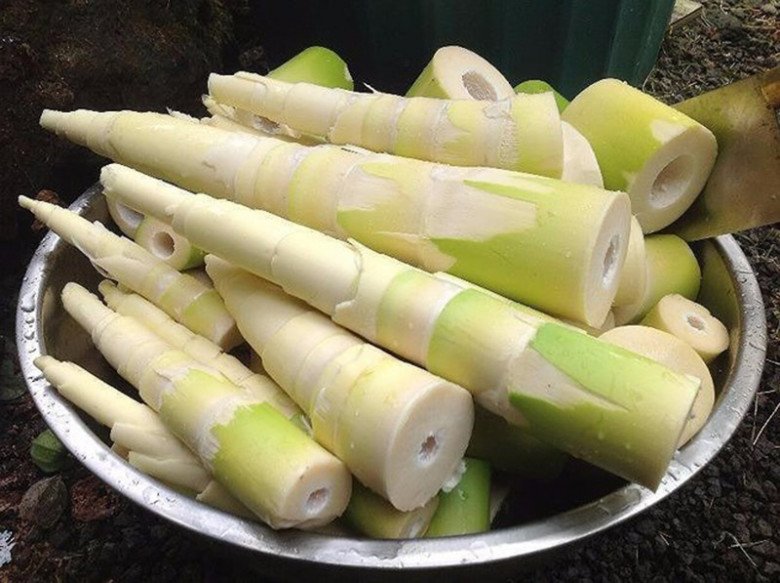 6 loại rau bác sĩ sản khoa khuyên mẹ bầu không nên ăn để tránh nguy cơ bị sảy thai, sinh non - 2