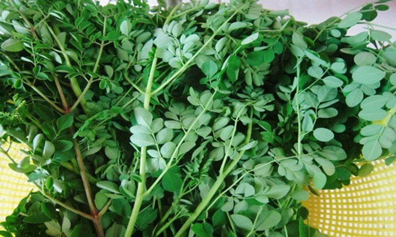 6 loại rau bác sĩ sản khoa khuyên mẹ bầu không nên ăn để tránh nguy cơ bị sảy thai, sinh non - 4