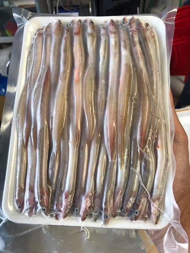 View - Cá này nhìn như "cọng tre”, khắp cơ thể toàn là sụn, thưởng thức một lần là nhớ mãi, giá bán 150.000 đồng/kg