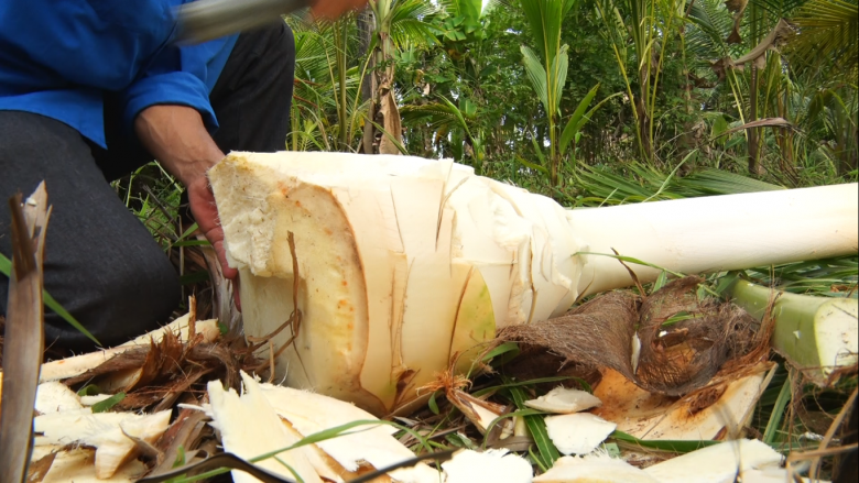 Nộm củ hũ dừa có vị chua ngọt vừa ăn, mát, giòn, thơm và lại thanh đạm, ít béo