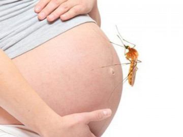 Sốt xuất huyết khi mang thai nguy hiểm cho cả mẹ và thai nhi