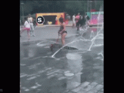 Clip Eva - Clip: Kinh ngạc cô gái dắt cá sấu đi dạo ở chỗ đông người