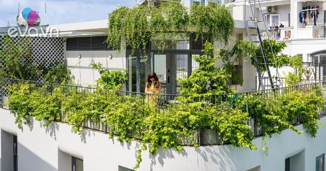 View - Báo Mỹ tấm tắc khen nhà Sài Gòn uốn cong siêu độc đáo