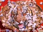 Eva tám - Trắc nghiệm tâm lý: Bạn đã thấy miếng ghép hay con hổ từ cái nhìn đầu tiên?