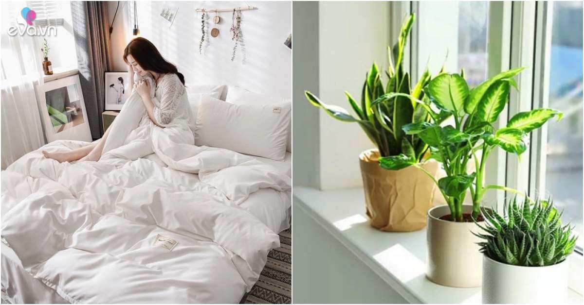 View - Mua lại nhà có nên dùng lại đồ của chủ cũ? 6 thứ này nhất định không được