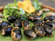 Sức khỏe - Quả này được ví là “vàng đen” chỉ có vào mùa thu, đem kho thịt thì ngon không tưởng, biết ăn còn chữa được  bệnh