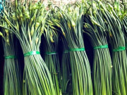 Lifestyle - Loại rau xưa ít người biết, giờ thành đặc sản được khách du lịch ưa chuộng, 100.000 đồng/kg