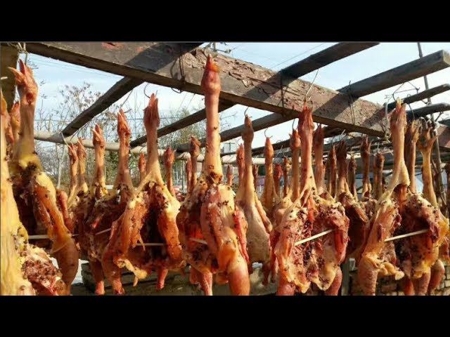Gà hong gió: Sự thật tàn nhẫn đằng sau món ăn được giới nhà giàu săn lùng