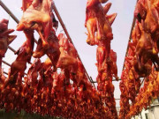 Lifestyle - Gà hong gió: Sự thật tàn nhẫn đằng sau món ăn được giới nhà giàu săn lùng