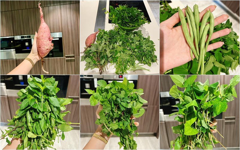 Đủ loại rau khác nhau được nữ diễn viên 9x hái từ vườn nhà. Cô khoe: "15 phút thu hoạch rau buổi sáng để chiều nay nấu giả cầy".
