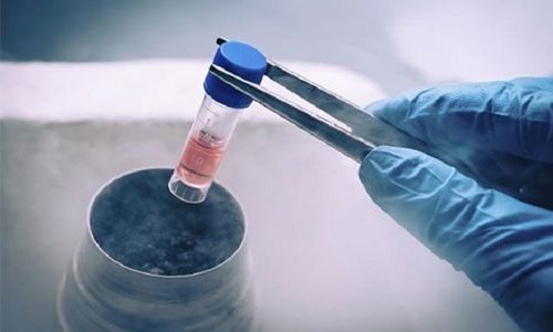 Con sinh ra từ phương pháp IVF có phải con mình không là băn khoăn của nhiều vợ chồng trong hành trình tìm con. (Ảnh minh họa)