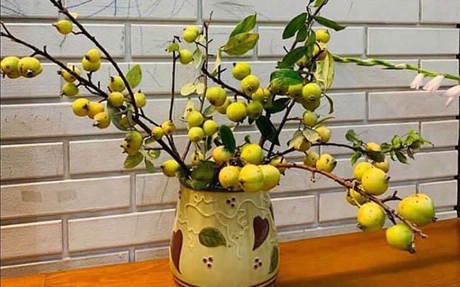 Loại quả chỉ dùng để ngửi xưa rồi, giờ dân buôn chặt cả cành đi bán như hoa, giá lên tới gần 1 triệu đồng/cành - 10