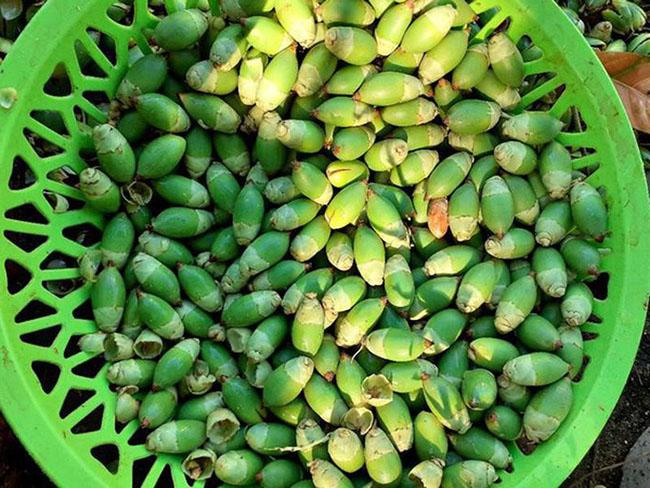 Loại quả rẻ tiền ở Việt Nam sang nước ngoài bỗng có giá tăng gấp hàng chục lần, người dân kiếm chục triệu dễ như bỡn - 5