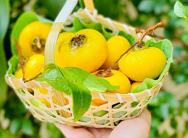 Loại quả chỉ dùng để ngửi xưa rồi, giờ dân buôn chặt cả cành đi bán như hoa, giá lên tới gần 1 triệu đồng/cành - 2