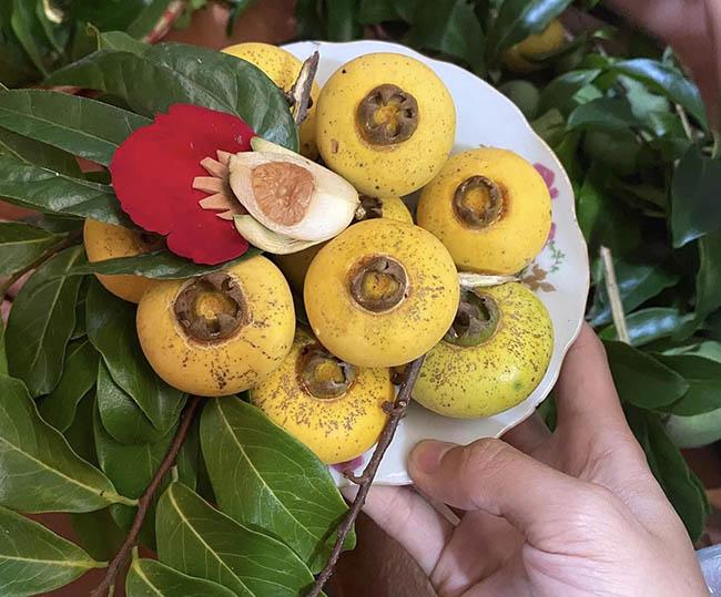 Loại quả chỉ dùng để ngửi xưa rồi, giờ dân buôn chặt cả cành đi bán như hoa, giá lên tới gần 1 triệu đồng/cành - 8