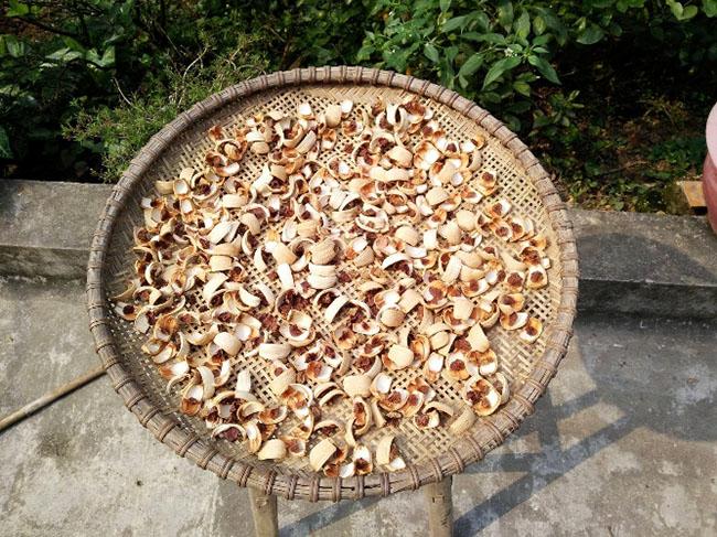 Loại quả rẻ tiền ở Việt Nam sang nước ngoài bỗng có giá tăng gấp hàng chục lần, người dân kiếm chục triệu dễ như bỡn - 7