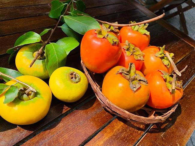 Loại quả chỉ dùng để ngửi xưa rồi, giờ dân buôn chặt cả cành đi bán như hoa, giá lên tới gần 1 triệu đồng/cành - 3
