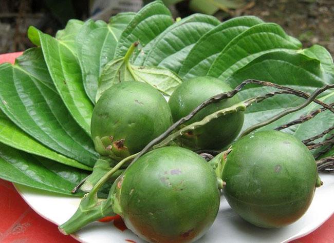 Loại quả rẻ tiền ở Việt Nam sang nước ngoài bỗng có giá tăng gấp hàng chục lần, người dân kiếm chục triệu dễ như bỡn - 1