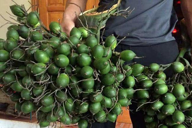 Loại quả rẻ tiền ở Việt Nam sang nước ngoài bỗng có giá tăng gấp hàng chục lần, người dân kiếm chục triệu dễ như bỡn - 2