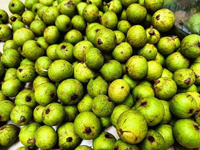 Loại quả ở quê mọc đầy đường vứt đi chả ai tiếc, nay lên thành phố trở thành mặt hàng đắt đỏ, giá 200.000 đồng/kg - 3