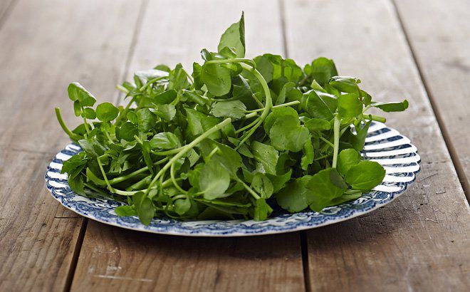 Rau cải xoong giàu axit folic nên giúp ngăn ngừa dị tật thai nhi. 