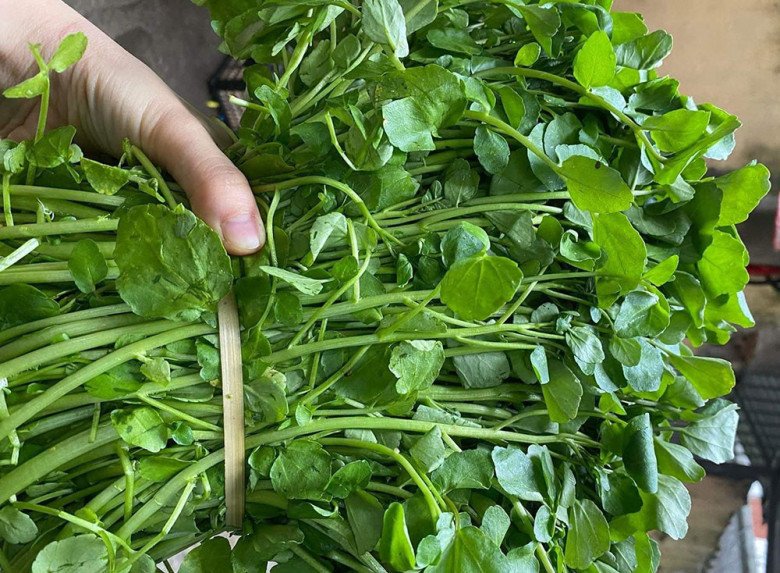 Rau cải xoong giàu vitamin K rất tốt cho sự phát triển hệ thần kinh của thai nhi.