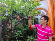 Nhà đẹp - Cận cảnh biệt thự 200 tỷ của ca sĩ Khánh Phương