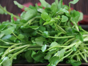 Bà bầu - Loại rau 30.000 đồng/kg được công nhận lành mạnh nhất thế giới bán đầy chợ Việt rất tốt cho bà bầu