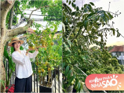 Nhà đẹp - Diệp Bảo Ngọc khoe khu vườn chữa lành trên tầng cao đầy cây trái, bạn bè dí dỏm gọi "Bà trùm nông sản"