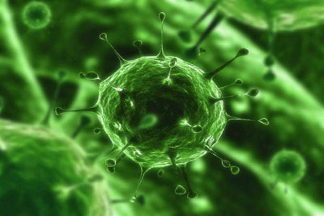 Adenovirus gây bệnh đau mắt đỏ.