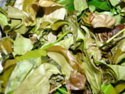 Lifestyle - Loại rau có tên gọi độc lạ, xưa có đầy ít người biết giờ trở thành đặc sản nổi tiếng vì thơm ngon, 150.000 đồng/kg