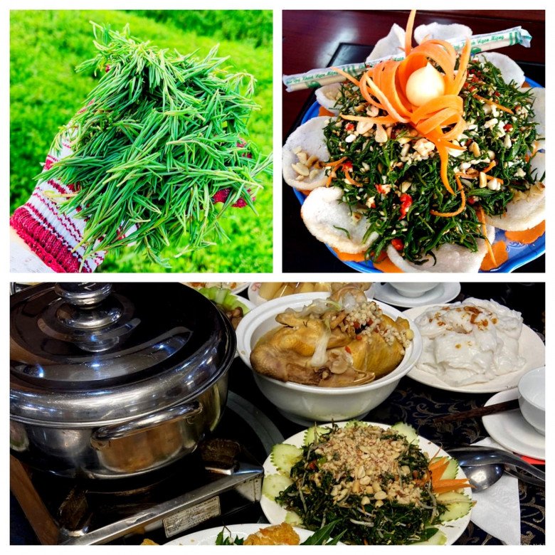 amp;#34;Lộc trờiamp;#34; mọc mơn mởn sau mưa, giờ thành đặc sản lạ người thành phố thích mê, dân hái về bán quanh năm - 3