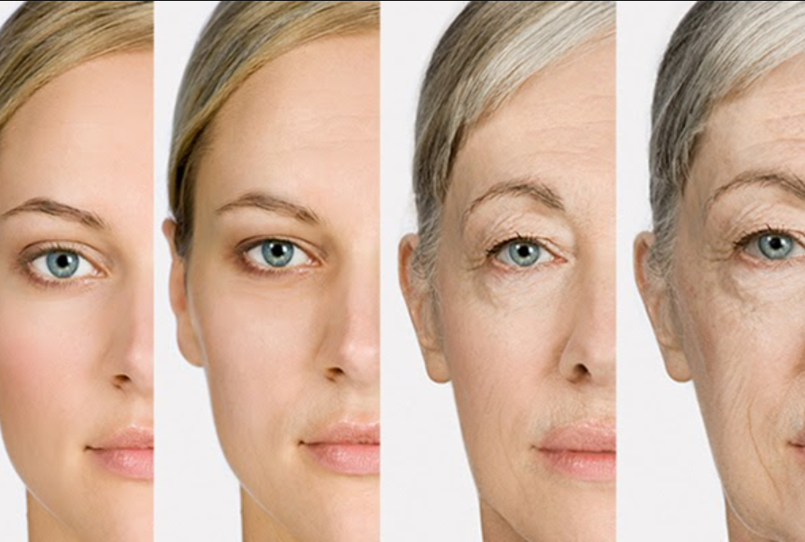 Thực sự có thể “lập trình trẻ hóa” bằng tế bào gốc? - 2