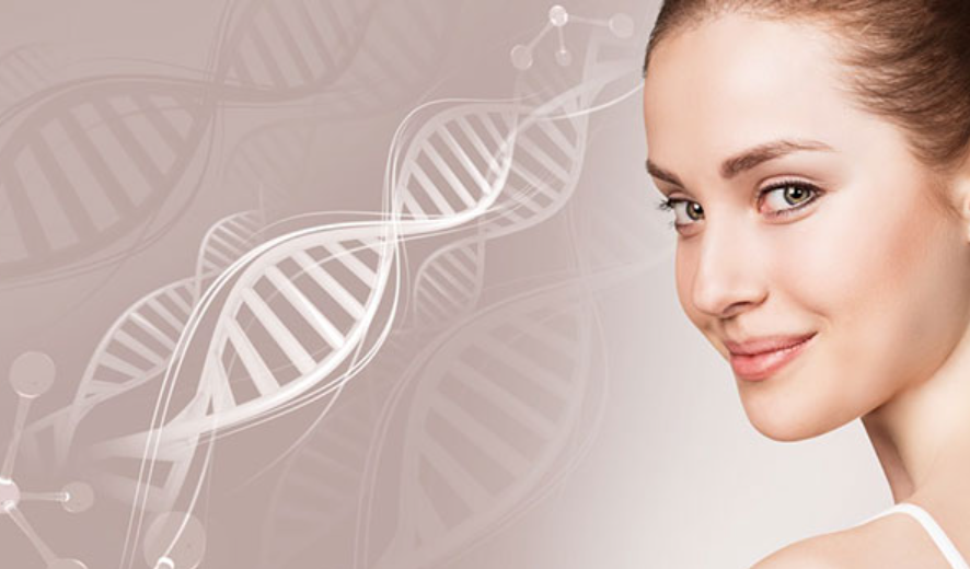 Thực sự có thể “lập trình trẻ hóa” bằng tế bào gốc? - 1